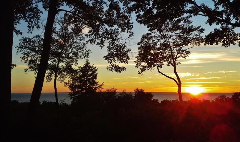 Pet-Friendly One Crow Cottage In Harbor Springs! מראה חיצוני תמונה